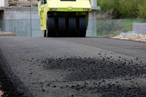 Best Custom Driveway Pavers  in Citrus Hills, FL